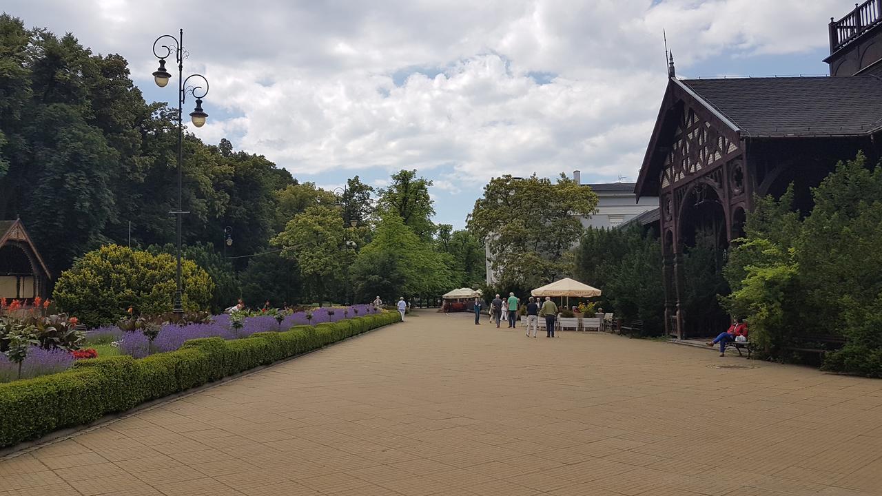 Wanda Apartment Szczawno-Zdroj Bagian luar foto